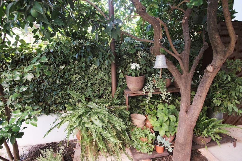 カンデレダ La Casa Del Jardinヴィラ エクステリア 写真